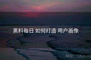 黑料每日 如何打造 用户画像