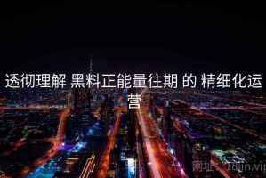 透彻理解 黑料正能量往期 的 精细化运营