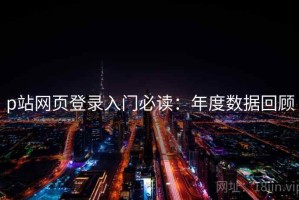 p站网页登录入门必读：年度数据回顾