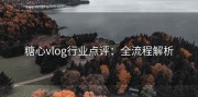 糖心vlog行业点评：全流程解析