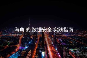 海角 的 数据安全 实践指南