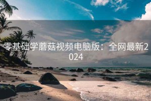 零基础学蘑菇视频电脑版：全网最新2024