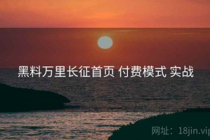 黑料万里长征首页 付费模式 实战