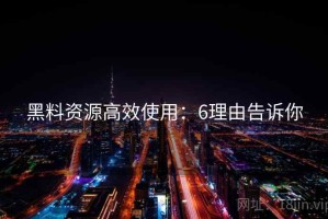 黑料资源高效使用：6理由告诉你