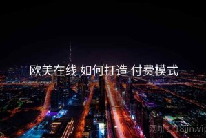 欧美在线 如何打造 付费模式