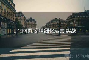 17c网页版 精细化运营 实战