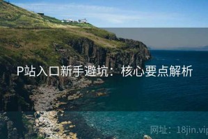 P站入口新手避坑：核心要点解析