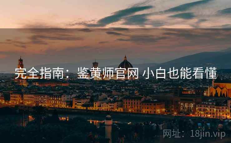 完全指南：鉴黄师官网 小白也能看懂