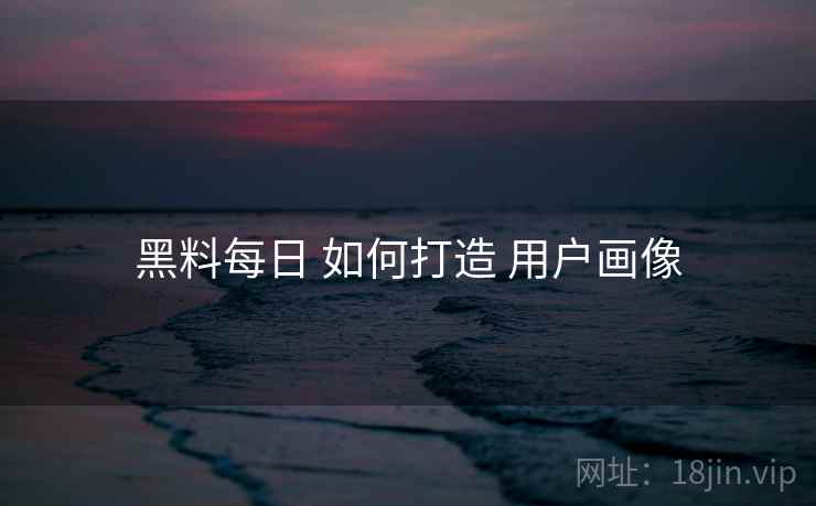 黑料每日 如何打造 用户画像