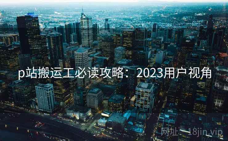 p站搬运工必读攻略：2023用户视角