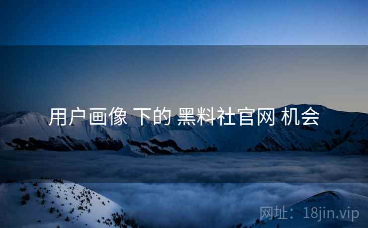 用户画像 下的 黑料社官网 机会