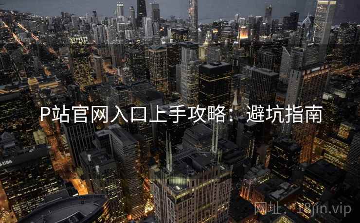 P站官网入口上手攻略：避坑指南