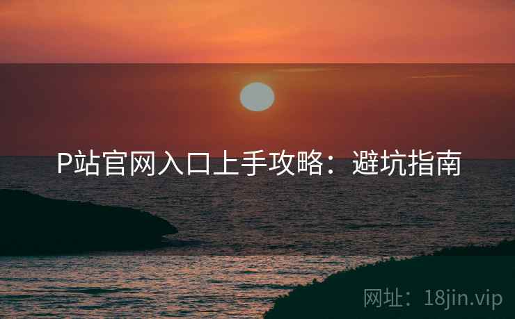 P站官网入口上手攻略：避坑指南