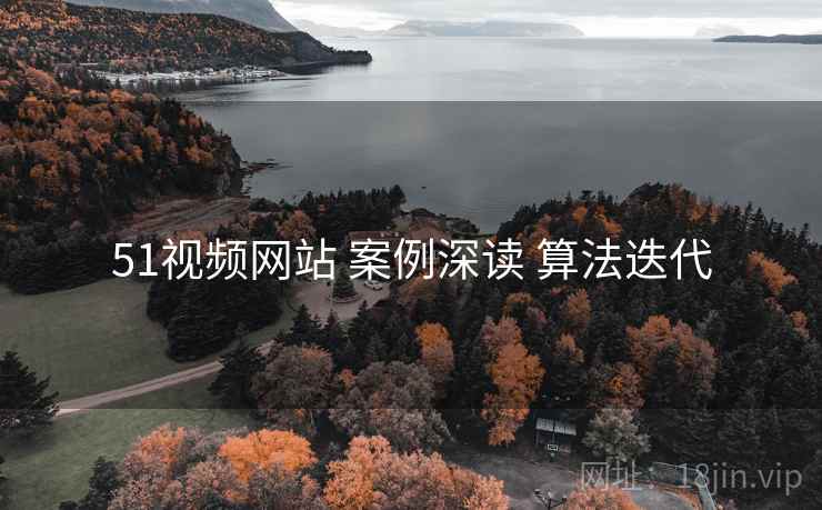 51视频网站 案例深读 算法迭代