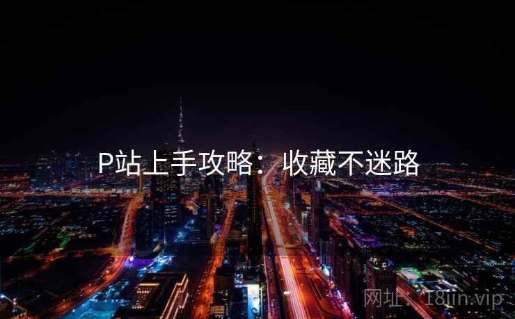 P站上手攻略：收藏不迷路