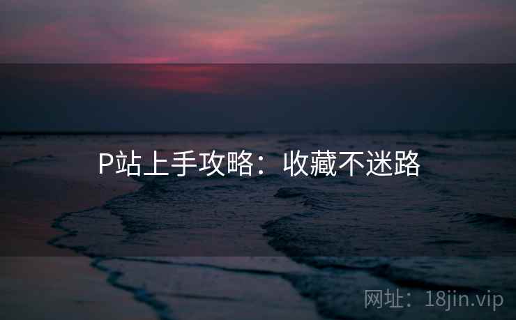 P站上手攻略：收藏不迷路