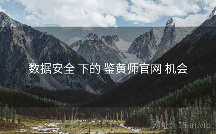 数据安全 下的 鉴黄师官网 机会