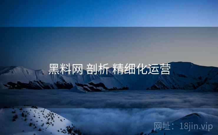 黑料网 剖析 精细化运营