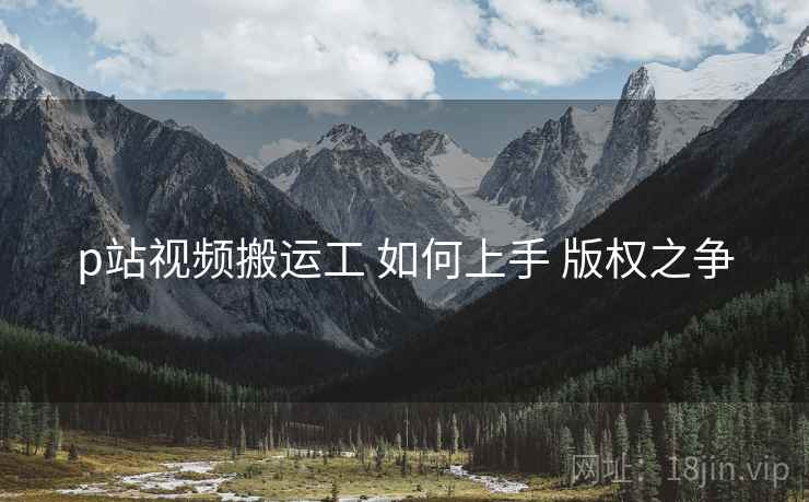 p站视频搬运工 如何上手 版权之争