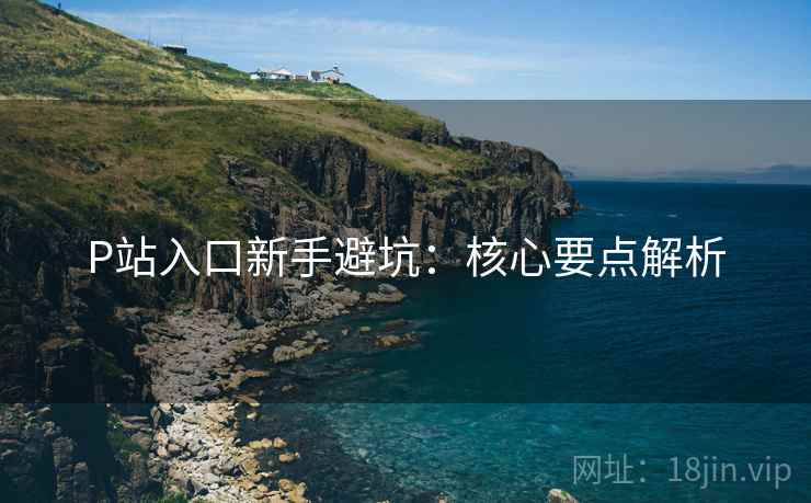 P站入口新手避坑：核心要点解析
