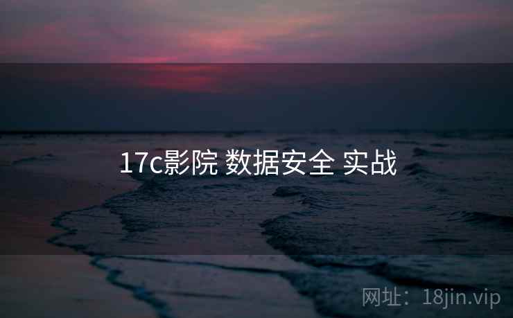 17c影院 数据安全 实战
