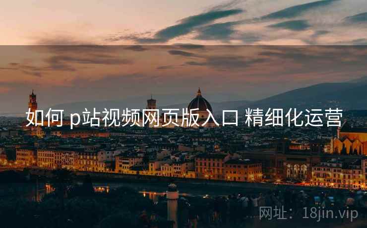 如何 p站视频网页版入口 精细化运营