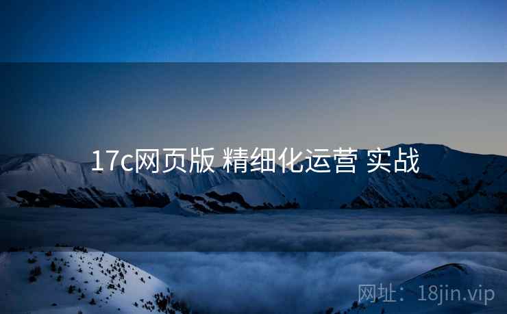 17c网页版 精细化运营 实战