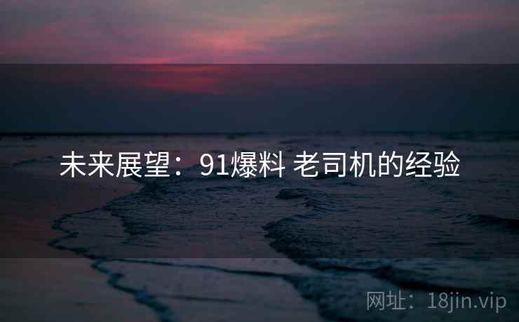 未来展望：91爆料 老司机的经验