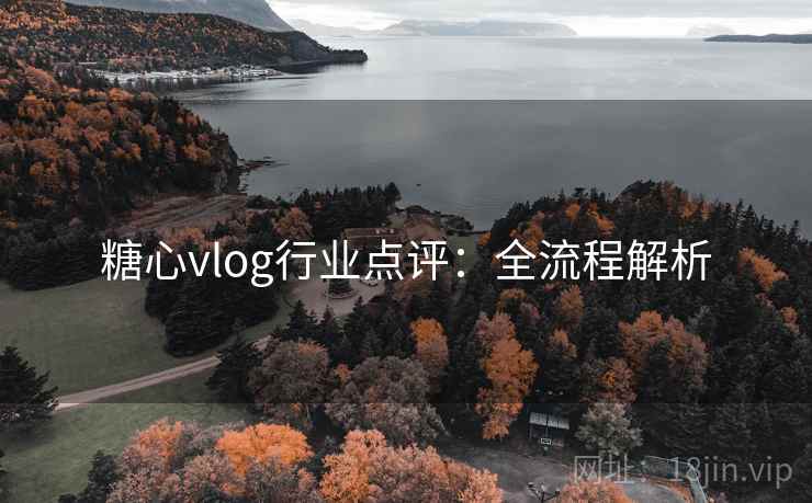 糖心vlog行业点评：全流程解析