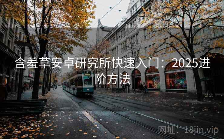 含羞草安卓研究所快速入门：2025进阶方法