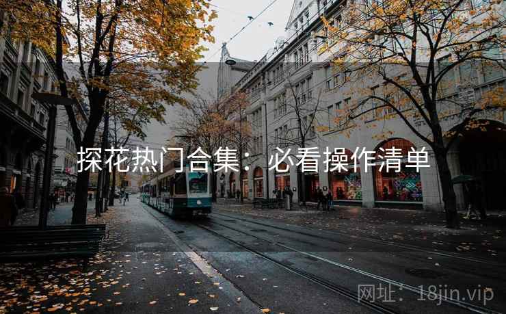 探花热门合集：必看操作清单