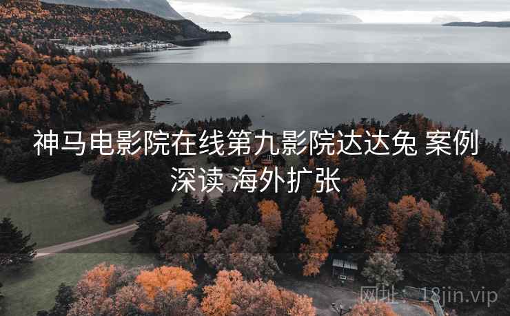 神马电影院在线第九影院达达兔 案例深读 海外扩张